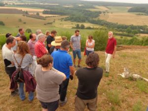 Biodiversität erkennen, wertschätzen und pflegen