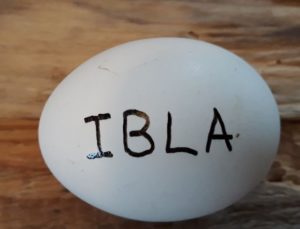 Werde pate/patin von einem Küken