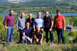 Jetzt ist Fingerspitzengefühl gefragt – die Bioweinlese beginnt