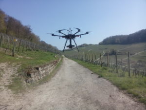 Tatenlos zuschauen ist keine Option – Herausforderung Esca – was unternimmt die weinbauliche Praxis?