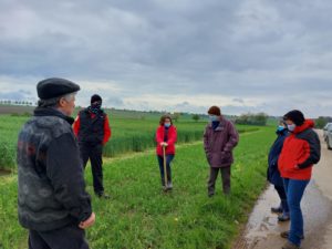 Beratungsgruppen mit Fokusthemen im Acker- und Feldfutterbau: jetzt anmelden!