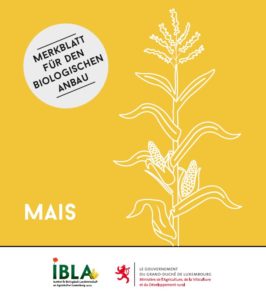 Merkblatt für den biologischen Anbau: Mais