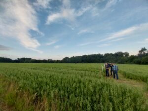 Projektvorstellung LEGENDARY