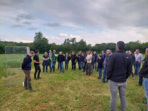 Leguminosen im Fokus